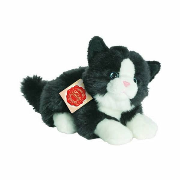 Katze liegend schwarz-weiß
