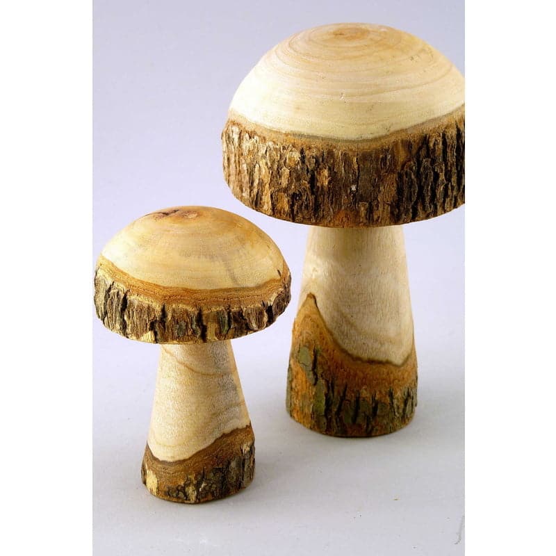 Holzast-Pilz natur einzeln