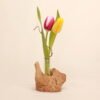 Treibholz mit Reagenzglas-Vase