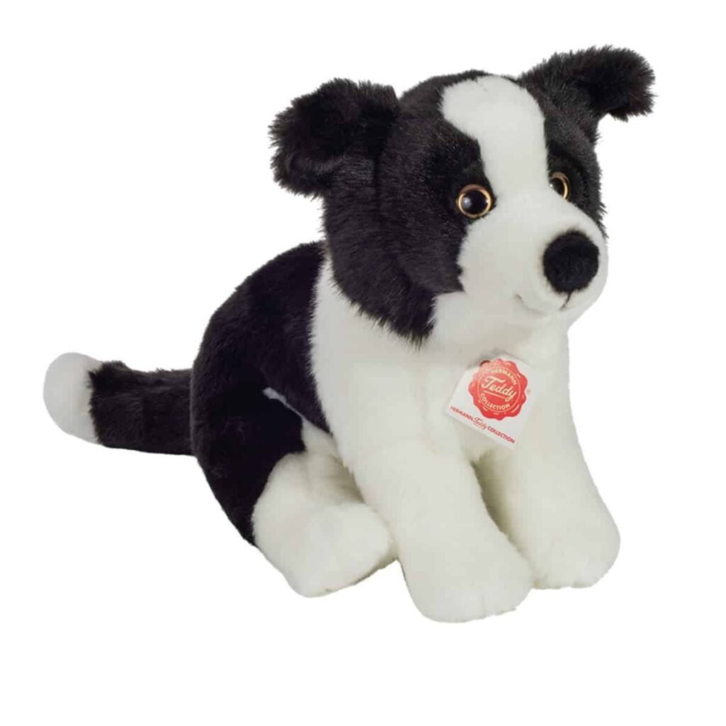 Border Collie Welpe