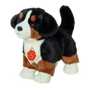 Berner Sennenhund Welpe