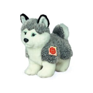 Husky stehend