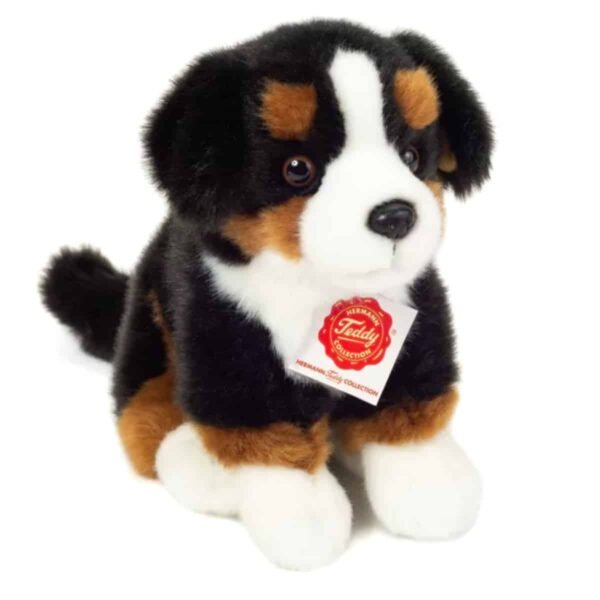Berner Sennenhund sitzend