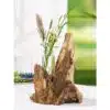 Treibholz mit Reagenzglas-Vase – Bild 2